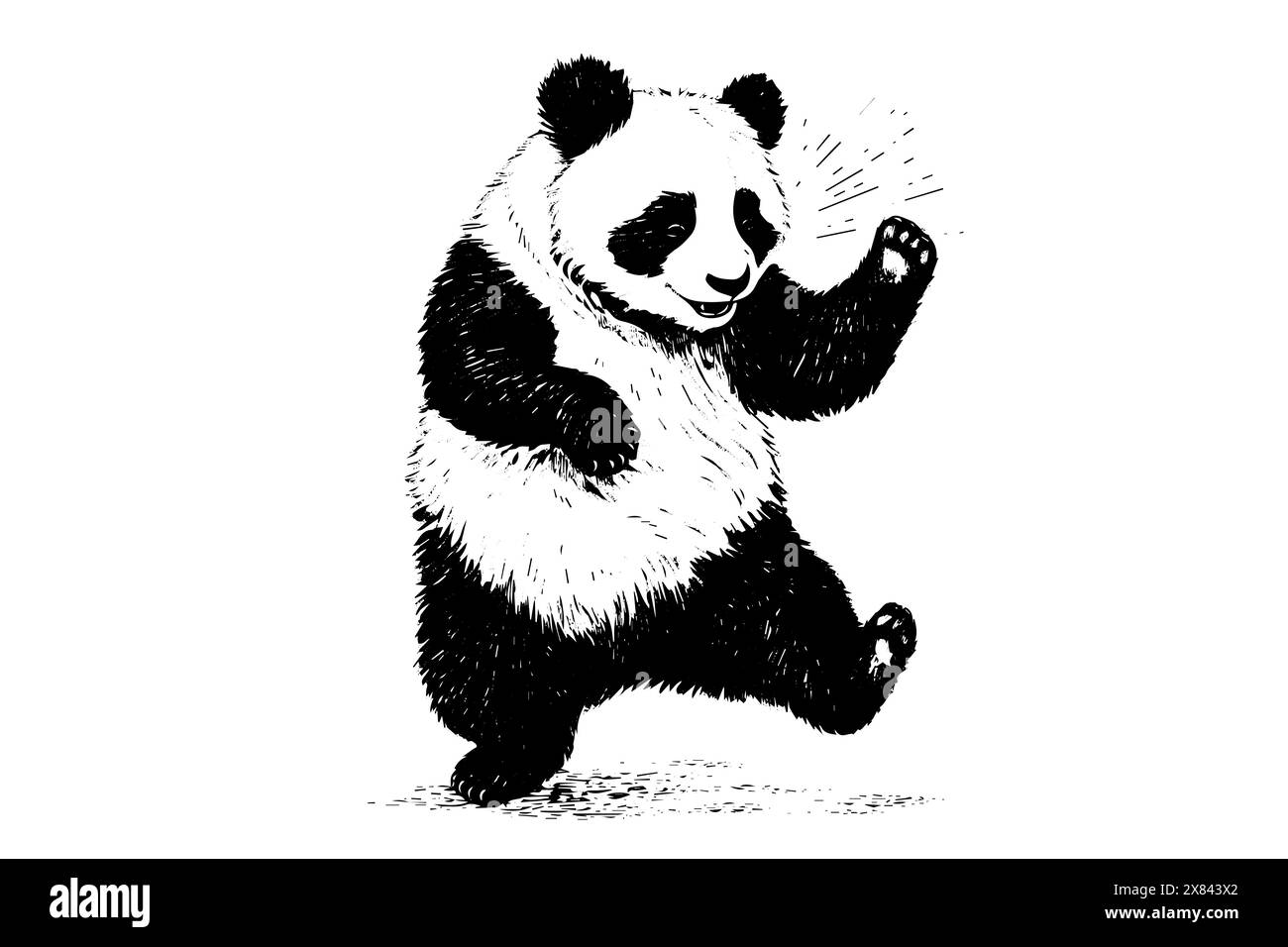 Panda danzante disegnato a mano. Illustrazione vettoriale incisa. Illustrazione Vettoriale