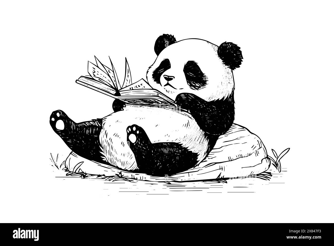 Panda legge un libro disegnato a mano con inchiostro. Illustrazione vettoriale. Illustrazione Vettoriale