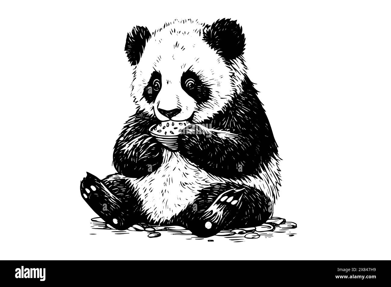 Schizzo a inchiostro disegnato a mano da Panda. Illustrazione vettoriale incisa. Illustrazione Vettoriale