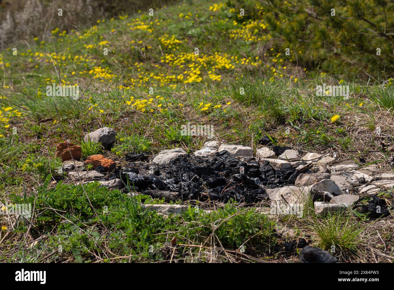 Focolare di pietra estinta abbandonato per falò. Sopravvivenza in natura. Proteggere la foresta dalla propagazione degli incendi. Foto Stock