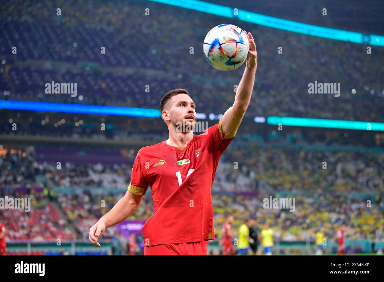 Firo : calcio, Serbia - Brasile Andrija Zivkovic corrispondente al gruppo G della Coppa del mondo FIFA Qatar 2022, allo stadio Lusail di Lusail, Doha, 24 novembre, 2022. Foto Stock