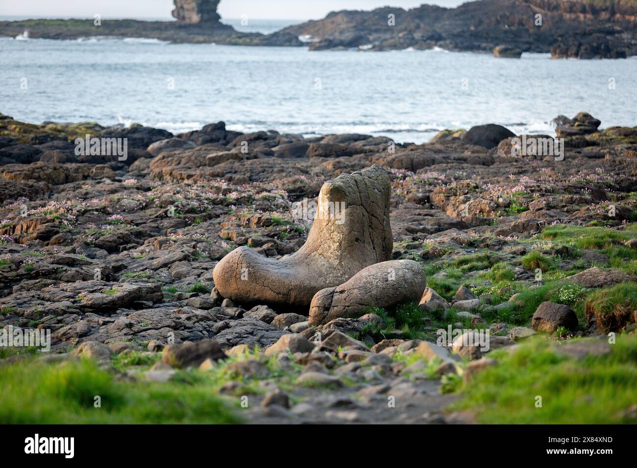 La formazione Giant's Boot Rock al Giant's Causeway nell'Irlanda del Nord Foto Stock