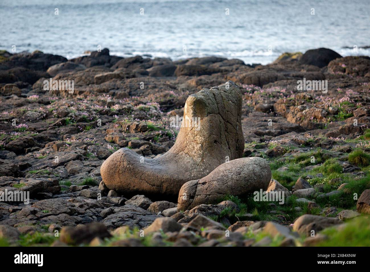 La formazione Giant's Boot Rock al Giant's Causeway nell'Irlanda del Nord Foto Stock