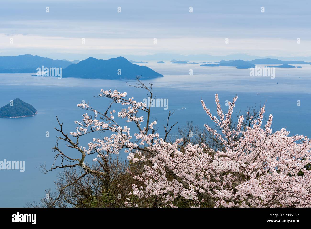 Isole del Mare interno di Seto con fiori di ciliegio in piena fioritura in primavera. Vista dal Monte Misen, dall'Isola Itsukushima Miyajima, Hiroshima, Giappone. Foto Stock