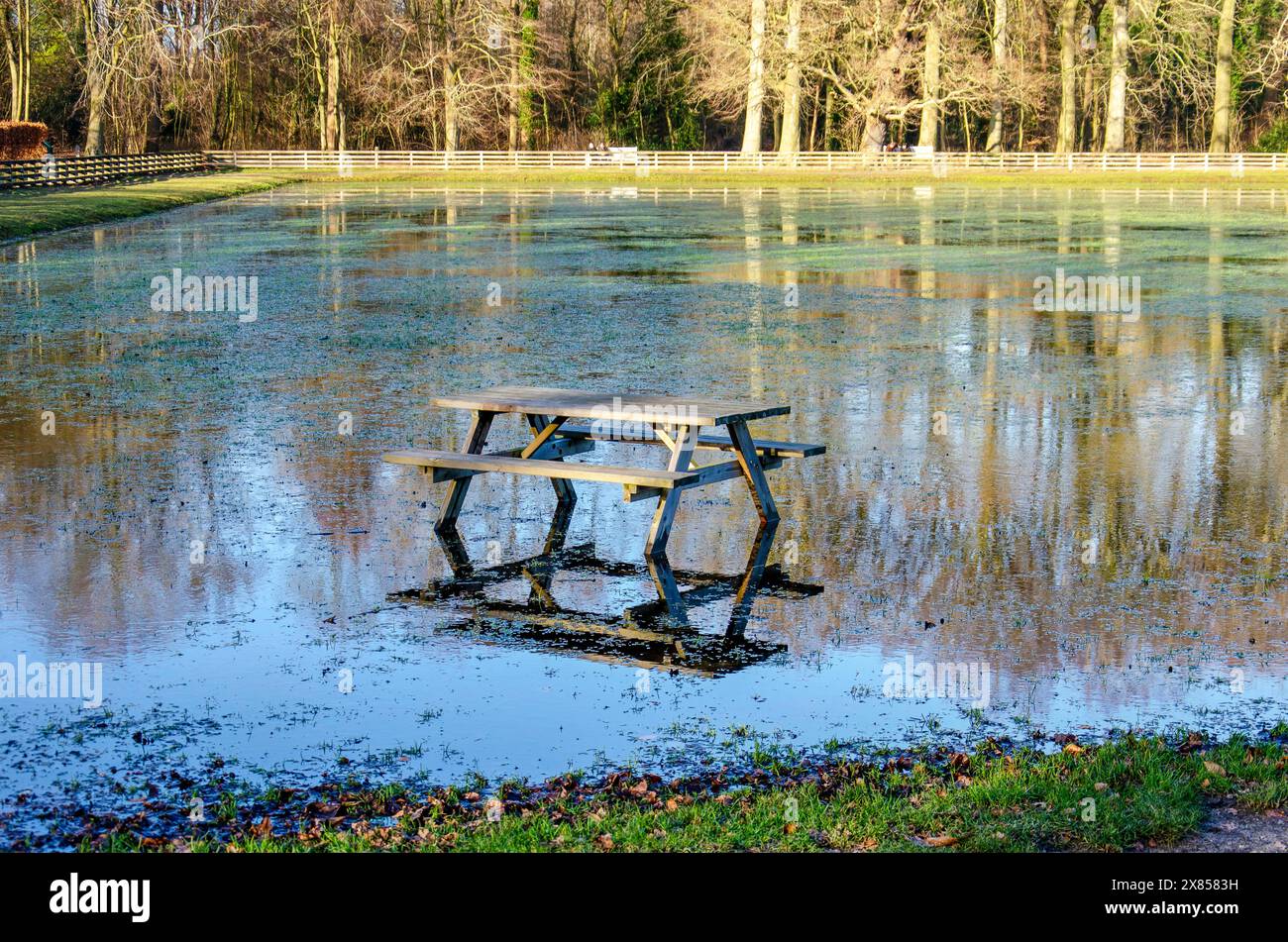 Panchina di legno su un campo inondato in attesa di un periodo di freddo da utilizzare come inchiostro ghiacciato, in un parco dell'Aia, nei Paesi Bassi Foto Stock