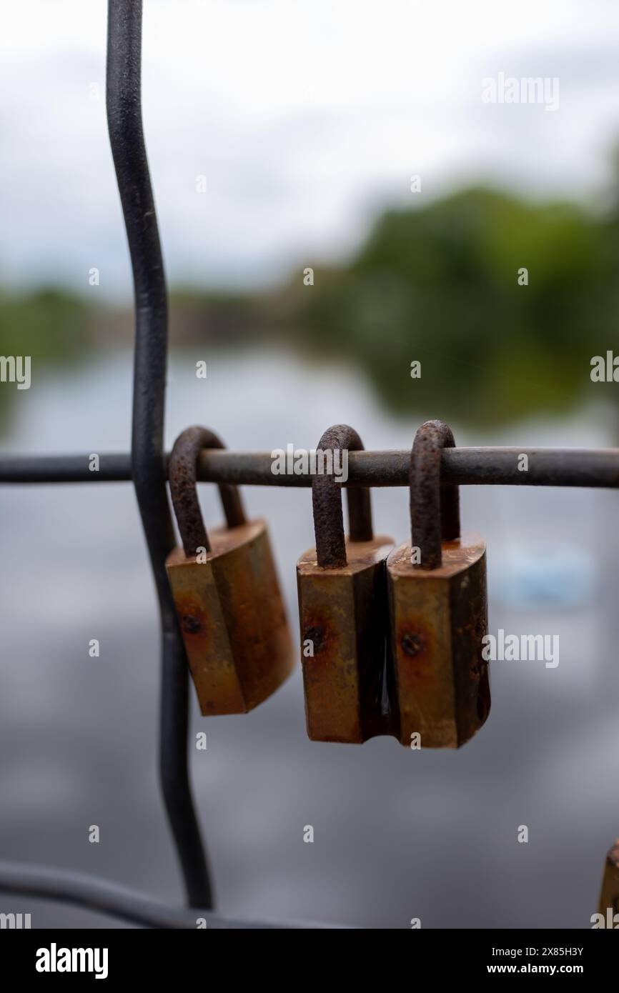 Immagine ravvicinata di più lucchetti arrugginiti su una recinzione metallica, che simboleggia sicurezza, tempo e decadimento. Foto Stock