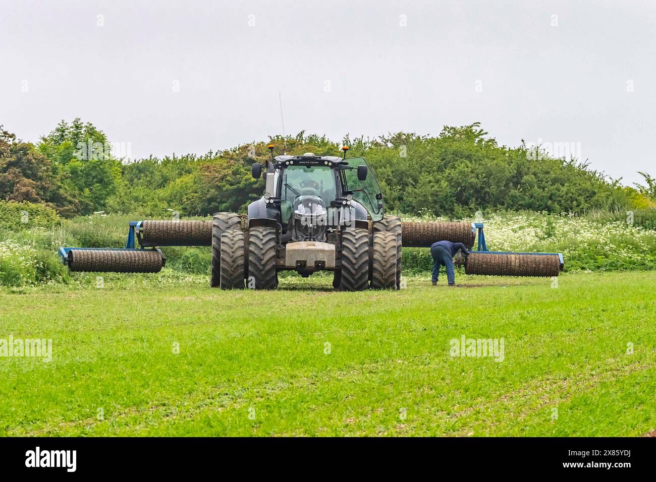 Deutz-Fahr 7250 TTV WARRIOR and Field Roller su terreni agricoli al largo di Loverose Way, Northampton, Inghilterra, Regno Unito. Foto Stock