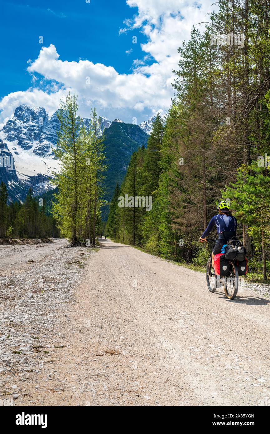 Mountain bike su un sentiero con alle spalle il massiccio del cristallo, Toblach-Dobbiaco, alto Adige-alto Adige, Italia Foto Stock