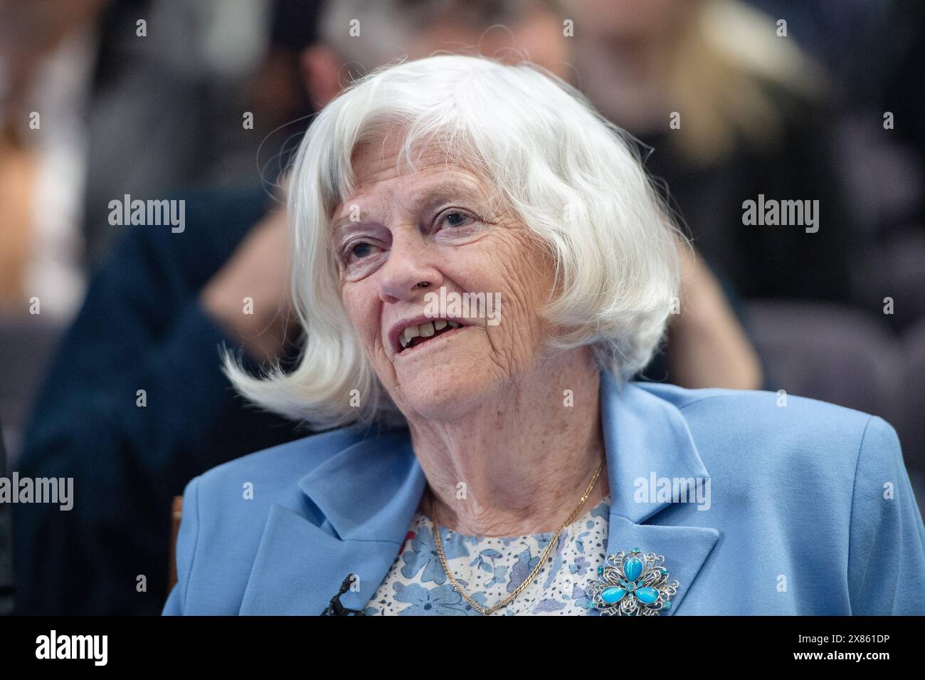 Londra, Inghilterra, Regno Unito. 23 maggio 2024. ANN WIDDECOMBE durante il lancio di una campagna elettorale generale a Westminster. (Credit Image: © Thomas Krych/ZUMA Press Wire) SOLO PER USO EDITORIALE! Non per USO commerciale! Crediti: ZUMA Press, Inc./Alamy Live News Foto Stock