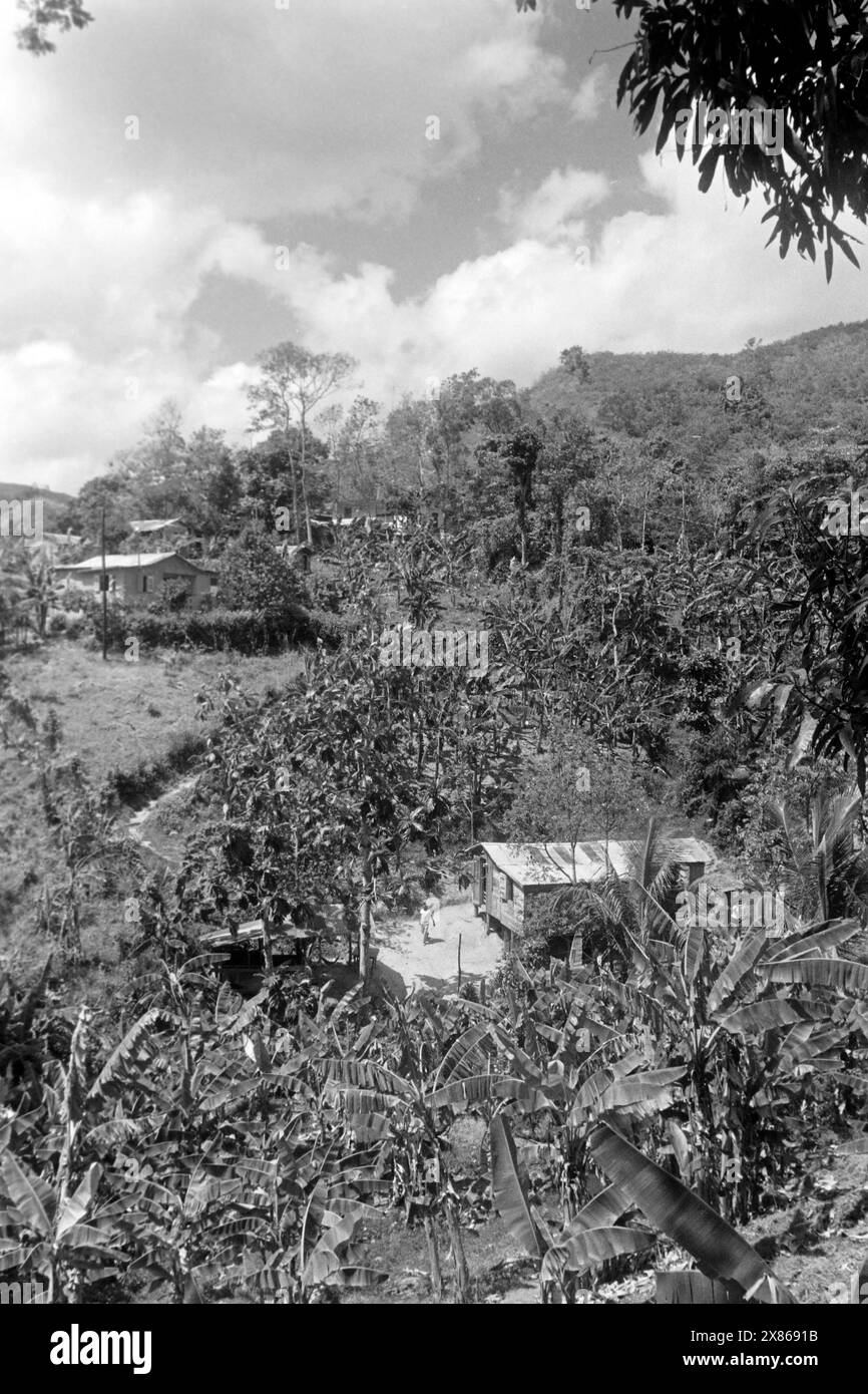 Spärlich gesäte traditionelle Häuser einer Ortschaft im Inland von Puerto Rico, 1966. Case tradizionali sparse in una città nell'entroterra di Porto Rico, 1966. Foto Stock