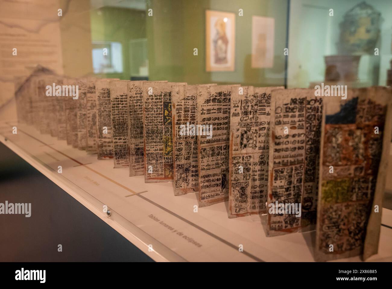 Riproduzione del codice di Dresda, libro maya sulla corteccia, Museo Popol Vuh, sede di una delle più importanti collezioni di arte Maya e pre-colombiana del mondo, G. Foto Stock