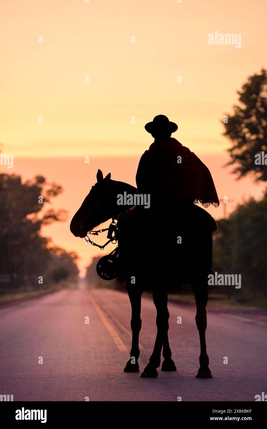 Silhouette di un gaucho a cavallo all'alba, Uribelarrea, provincia di Buenos Aires, Argentina. Foto Stock