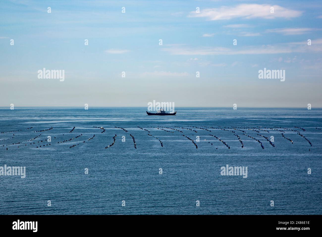 Paesaggio marino con allevamento di cozze, vista sulla costa Foto Stock