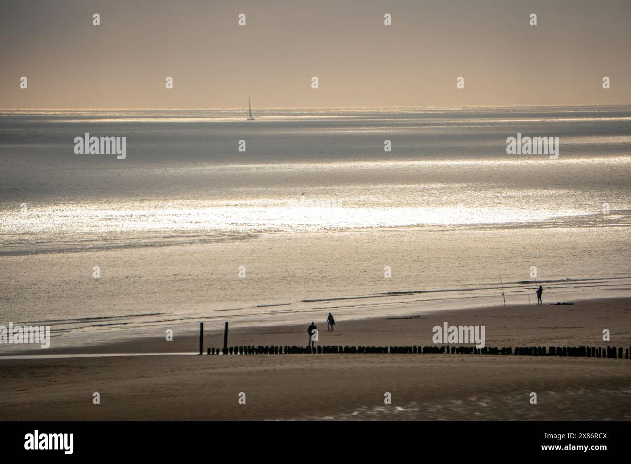 Atmosfera serale sulla spiaggia del Mare del Nord vicino a Zoutelande, Zelanda, pescatori, escursionisti, frangiflutti, paesi Bassi Foto Stock