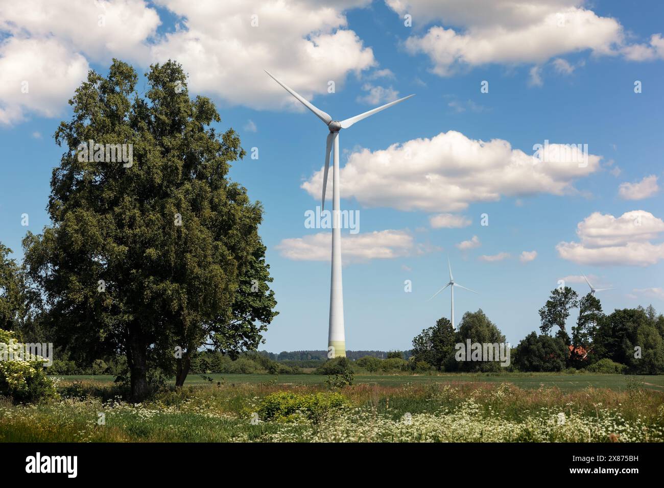 Mulino a vento in una zona rurale a mezzogiorno. Bellissimo paesaggio con nuvole bianche e grande albero verde. Foto orizzontale. Foto Stock