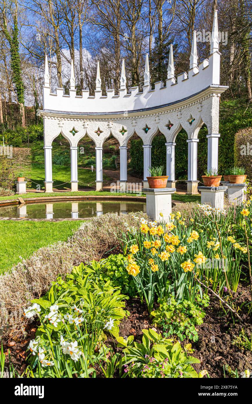 Narcisi in primavera di fronte all'Exedra nel giardino Rococo di Painswick, nel villaggio Cotswold di Painswick, nel Gloucestershire. Inghilterra Regno Unito Foto Stock