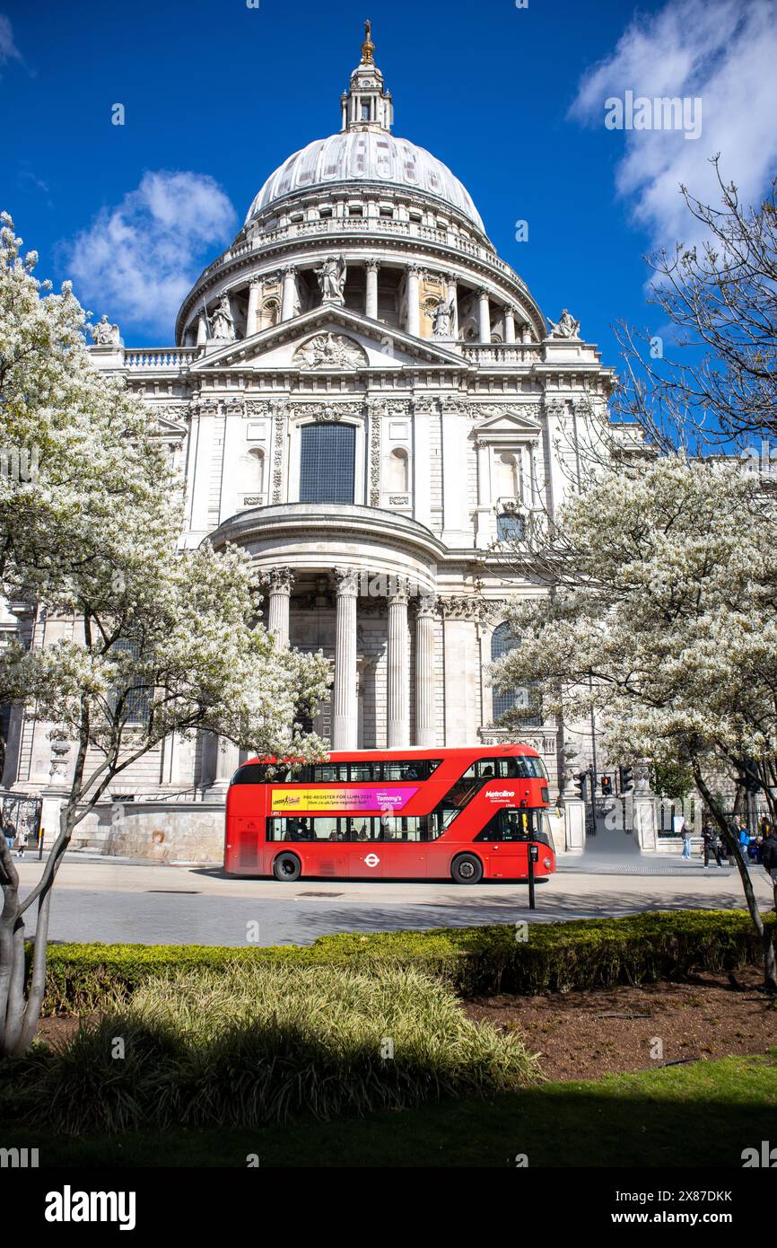 Red New Routemaster Bus e la primavera fioriscono di fronte alla Cattedrale di St Paul, Londra, Regno Unito Foto Stock