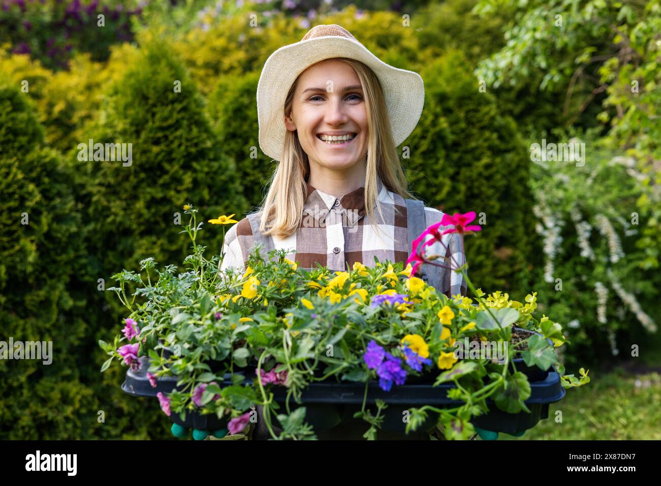 donna sorridente in piedi a casa nel giardino del cortile e tenendo in mano una scatola con colorate piantine di fiori estive. stagione delle piantagioni Foto Stock