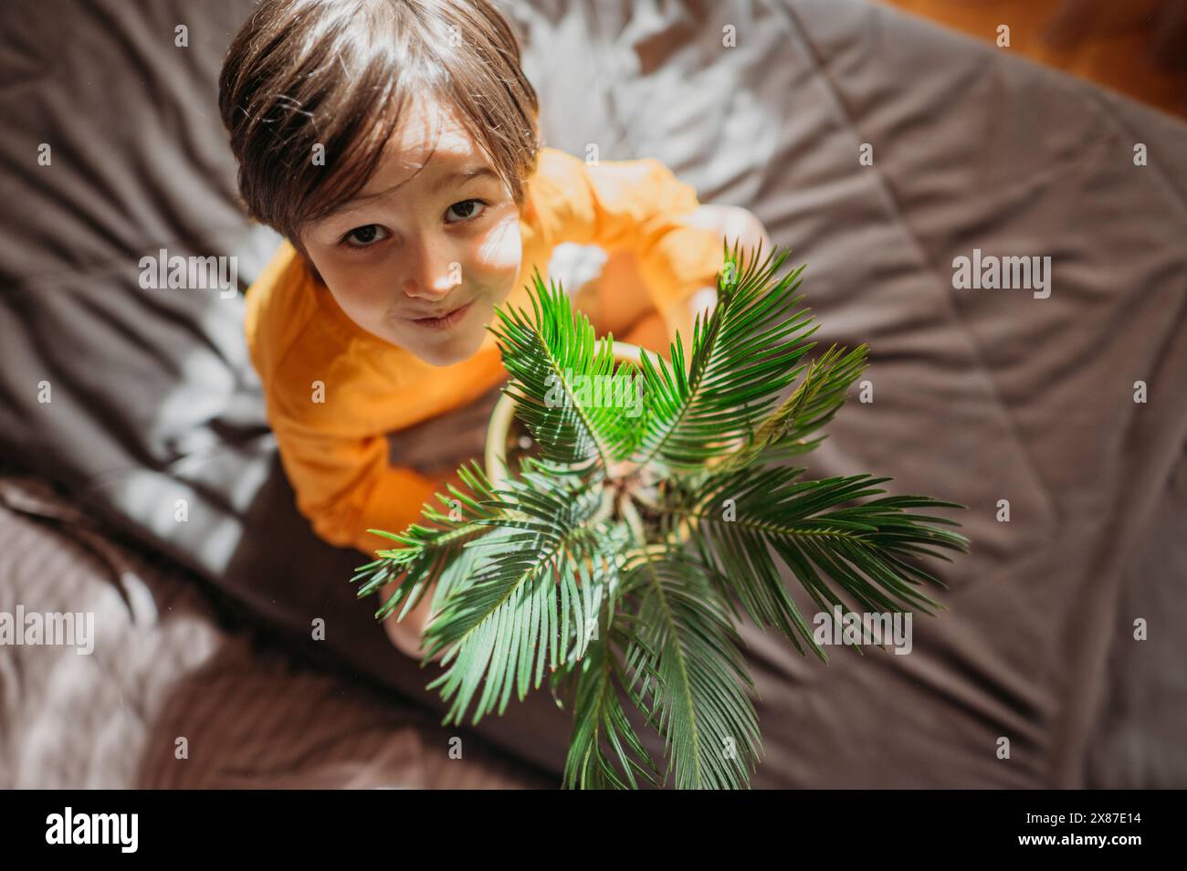 Un ragazzo carino seduto con una pianta in vaso sul letto a casa Foto Stock