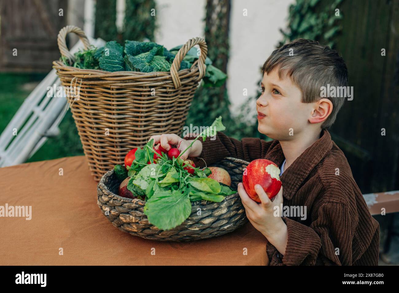 Ragazzo che mangia mela biologica fresca dal cestino di vimini vintage nel cortile posteriore Foto Stock