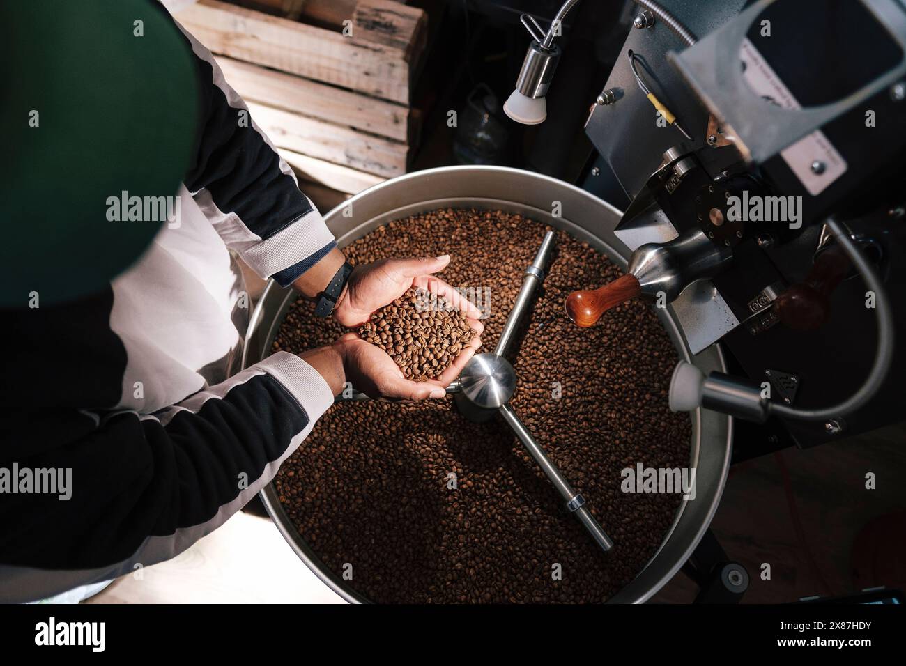 Mani di torrefazione che tengono i chicchi di caffè tostati vicino ai macchinari Foto Stock