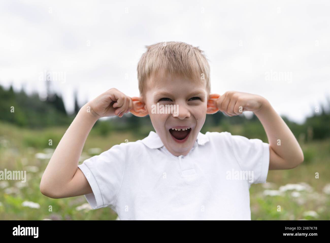 Ragazzo giocoso che fa la faccia divertente nel prato Foto Stock