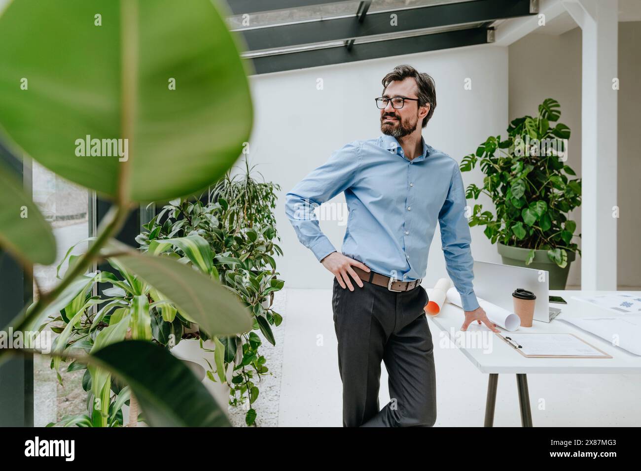Un uomo d'affari sorridente in piedi vicino alle piante e alla scrivania in ufficio Foto Stock