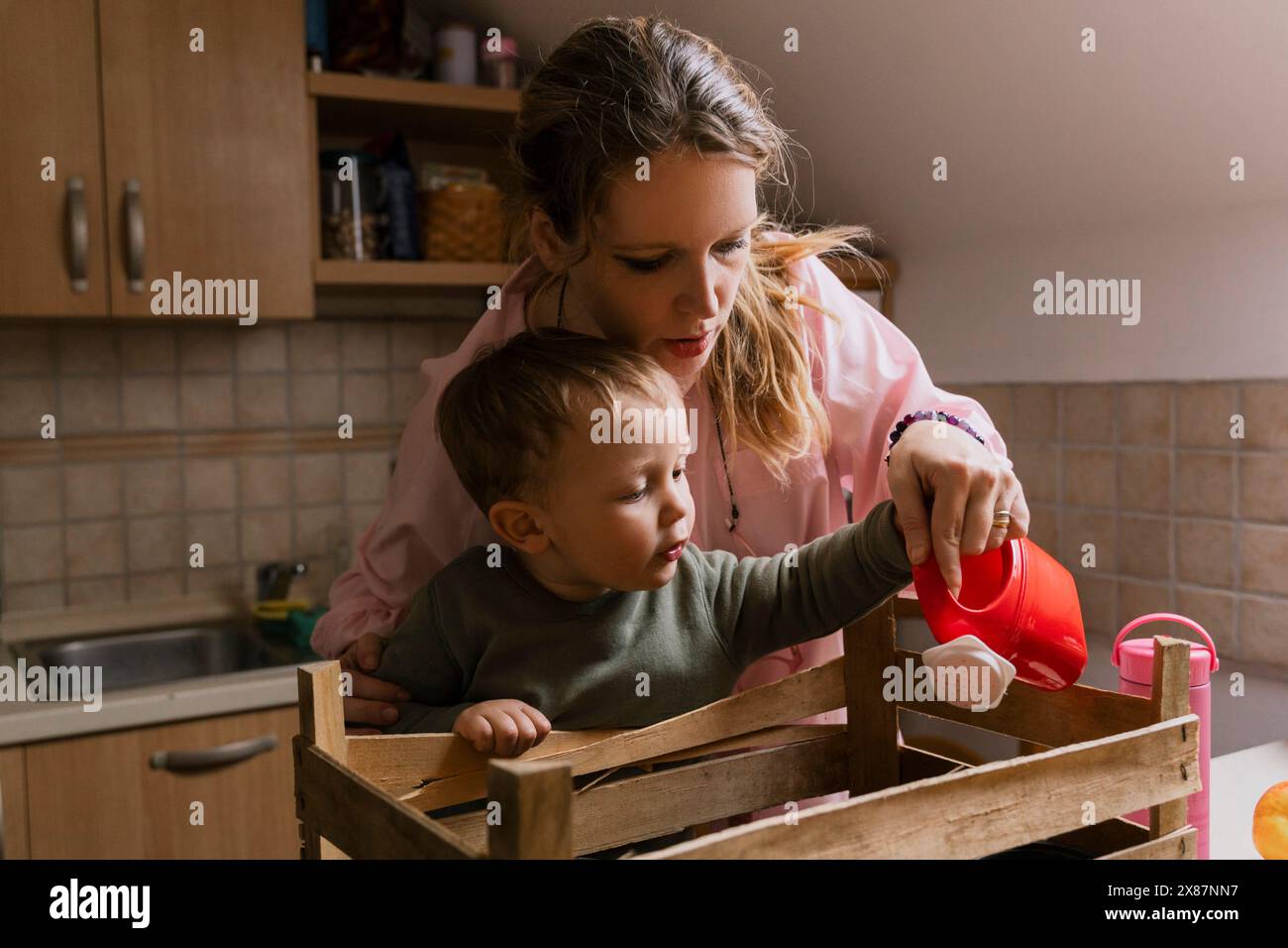 Madre e figlio annaffiano le piantine in una cassa di legno in cucina Foto Stock