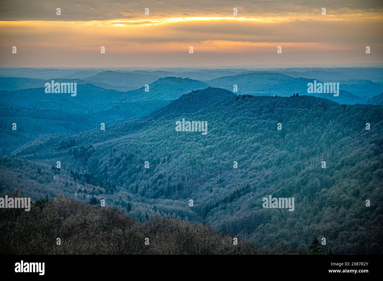 Germania, Renania-Palatinato, foresta vista dal Luitpoldturm al crepuscolo Foto Stock