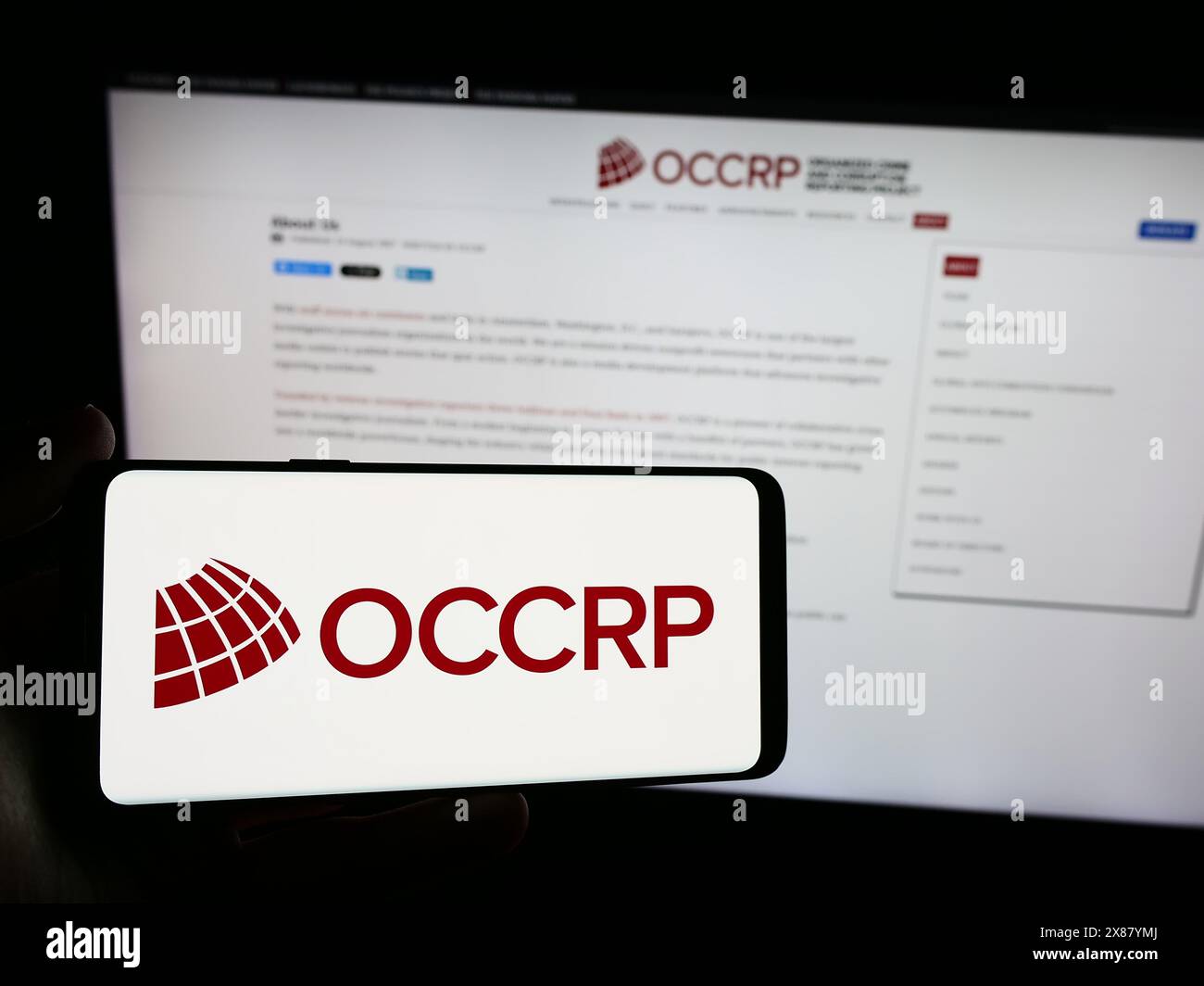 Persona con smartphone con logo OCCRP (Organized Crime and Corruption Reporting Project) davanti al sito web. Mettere a fuoco il display del telefono. Foto Stock