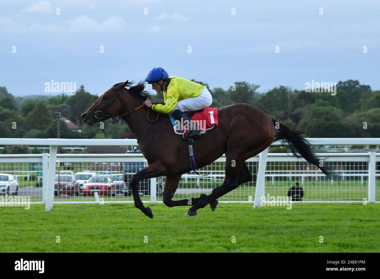 Sandown, Regno Unito. 23 maggio 2024. Almaqam (berretto blu), guidato da William Buick, vince il 8,12 Chasemore Farm Stud staff Heron Stakes al Sandown Racecourse, Regno Unito. Crediti: Paul Blake/Alamy Live News. Foto Stock