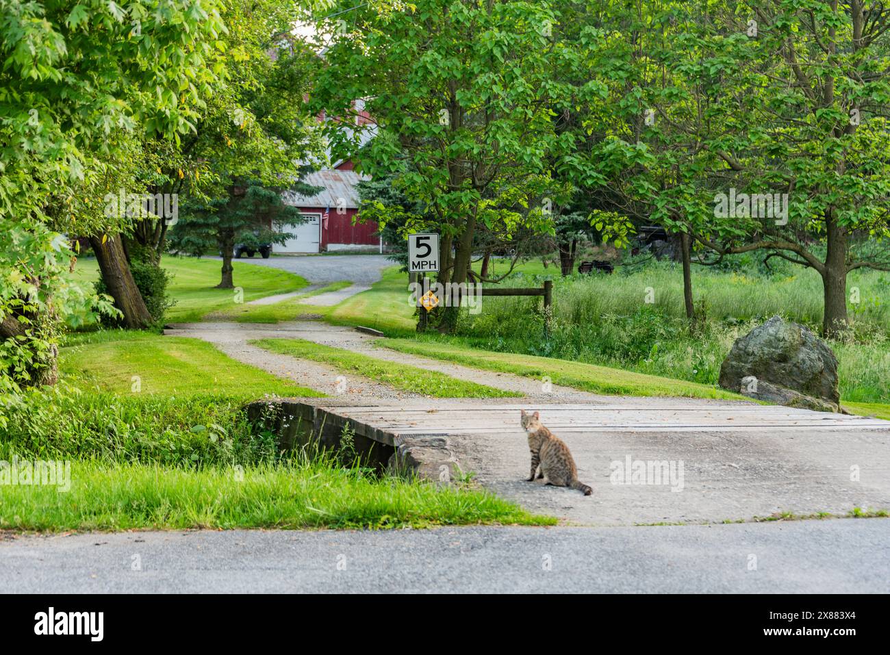 Speed Enforcement Cat on Duty, York County Pennsylvania USA Foto Stock