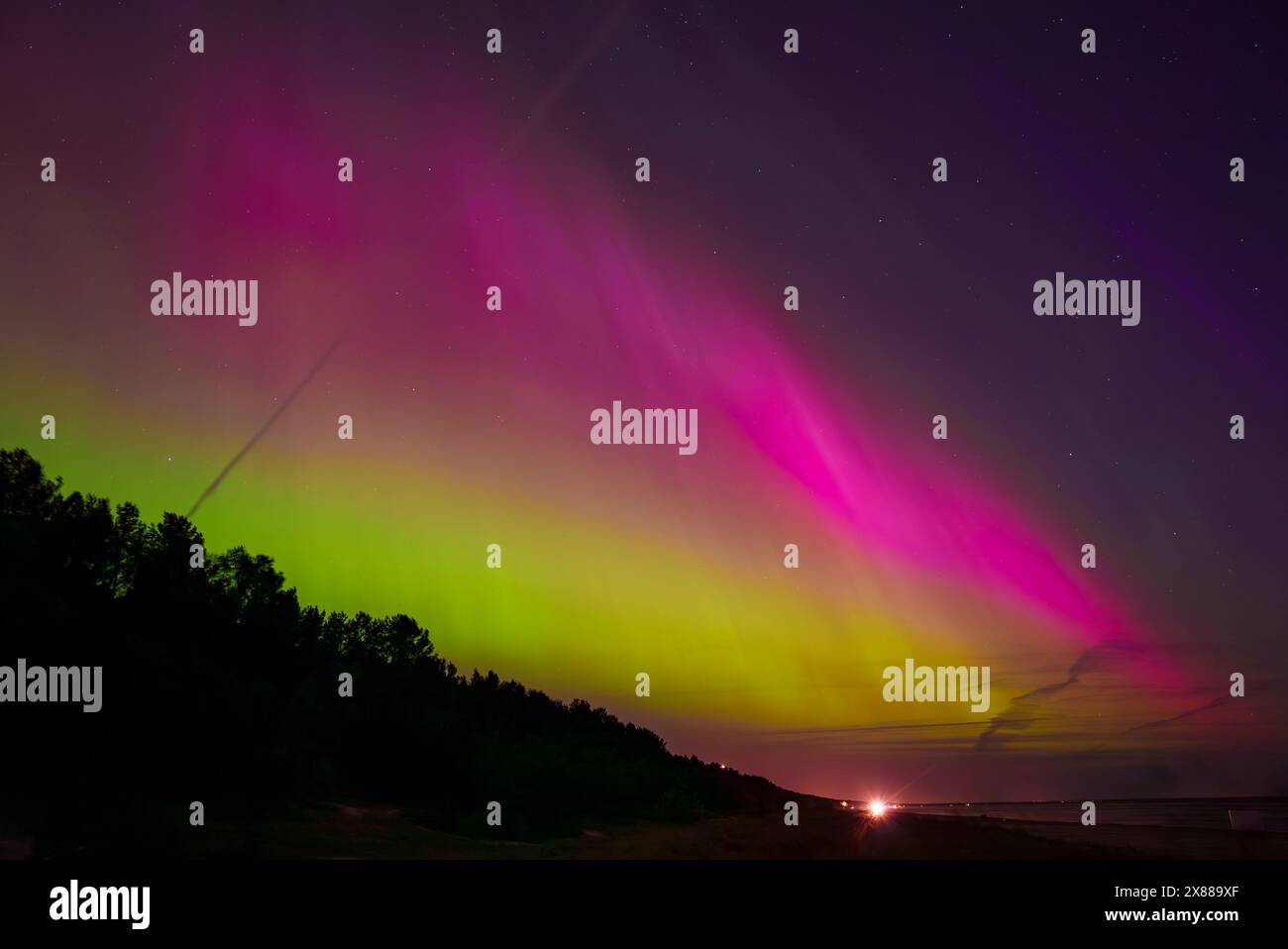 Aurora Boreale sulla costa della Lettonia vicino a riga e Jurmala con profilo forestale Foto Stock