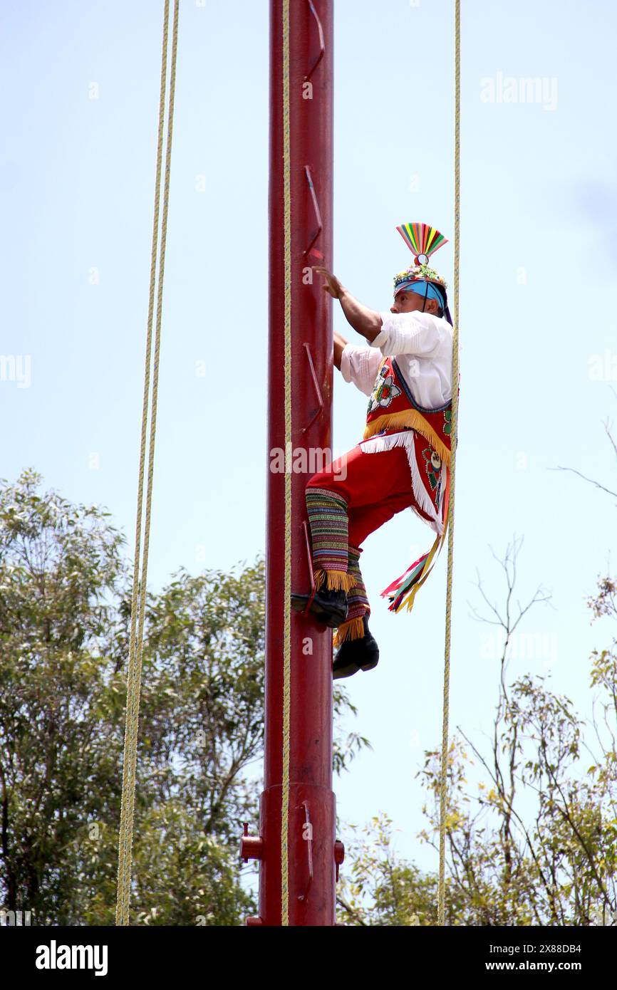 Città del Messico, Messico - 2 agosto 2023: Il rito dei volantini di Papantla Veracruz, manifestazione culturale e spirituale svolta in Messico Foto Stock