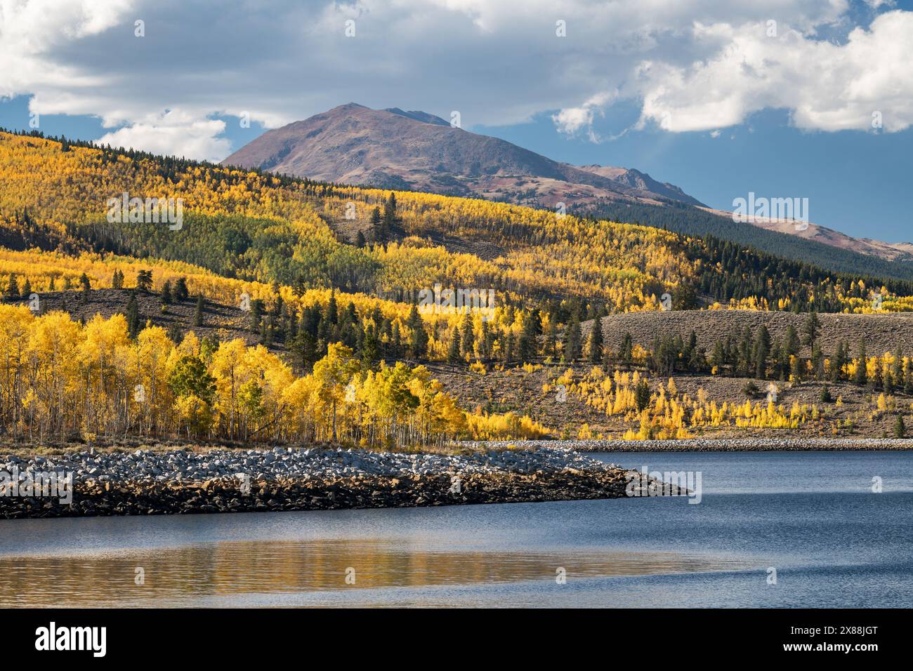 Mount Massive di 14.428 metri sullo sfondo di un'abbondanza di pioppi dorati. Il lago artificiale di Mount Elbert Forebay si trova sopra i Twin Lakes Colorado. Foto Stock