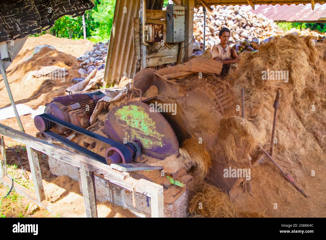 Kalutara, Sri Lanka 09 febbraio 2023.fabbricazione di corde di cocco con processo tradizionale.piccola manifattura privata per la produzione di corde di cocco Foto Stock