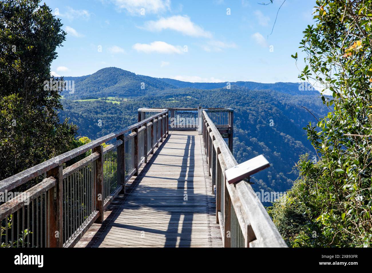 Dorrigo National Park Australia, vedute della foresta pluviale di Gondwana dalla piattaforma Skywalk, NSW, Australia Foto Stock