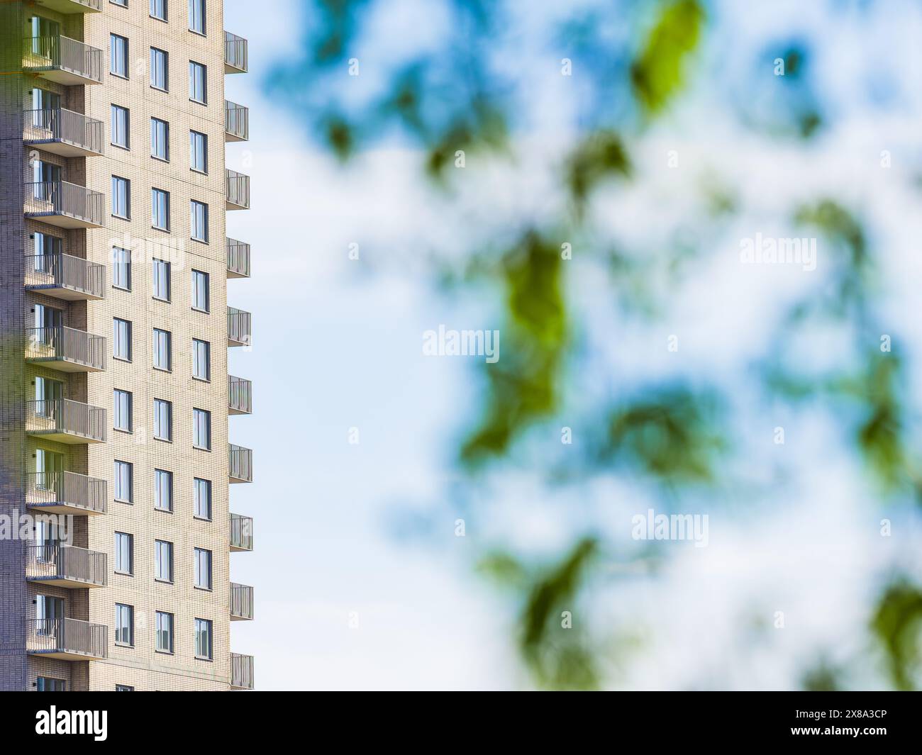 Un alto edificio residenziale con numerose finestre sorge accanto ad un albero nel paesaggio urbano di Gothenburg. Il contrasto tra natura e architec Foto Stock