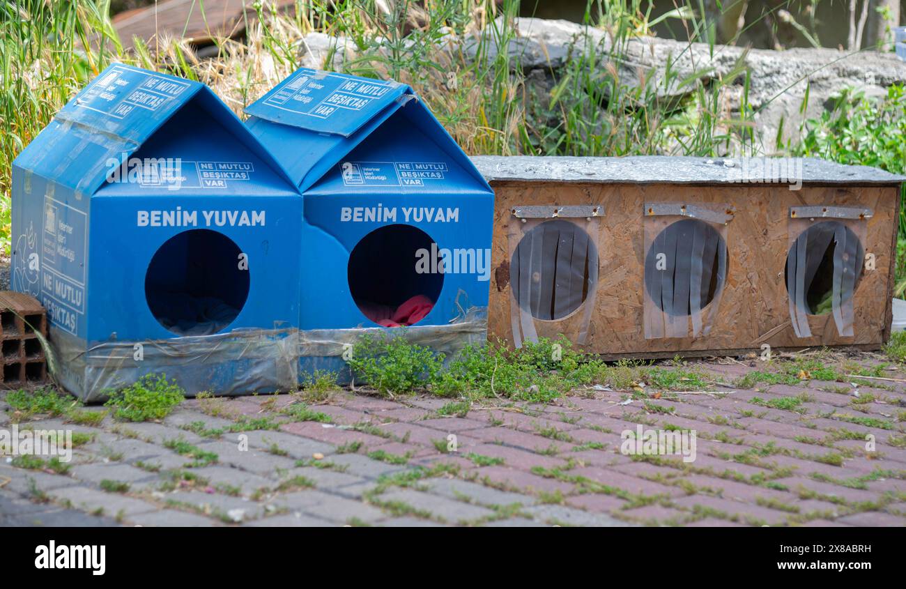 Case per gatti randagi dal comune di Besiktas nella città di Istanbul, Turchia. costruito da un'associazione specializzata nel salvataggio di animali domestici.. Foto Stock