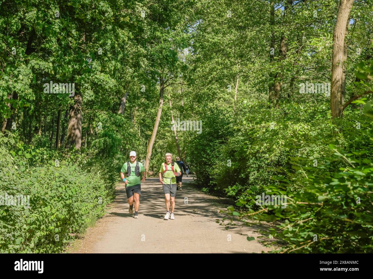 Jogger, escursionista a Schlachtensee, Zehlendorf, Steglitz-Zehlendorf, Berlino, GERMANIA +++ NESSUNA VERSIONE DEL MODELLO Foto Stock