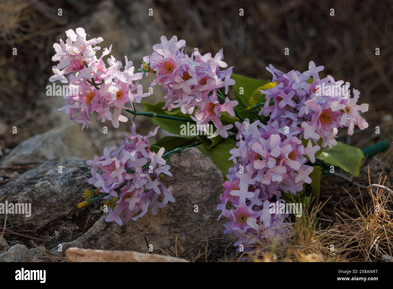 Bouquet di fiori di plastica abbandonati nel parco naturale della Sierra de Mariola, Alcoy Foto Stock