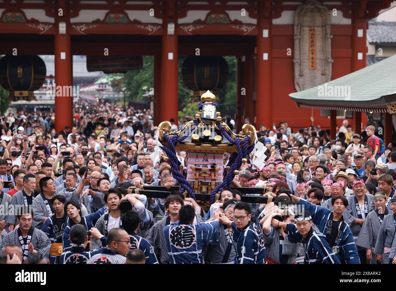 Tokyo - 19 maggio 2024: Le persone si spostano al tempio kannon nel Festival di Sanja. Si tratta di un festival tradizionale, un festival shintoista della durata di un fine settimana dedicato agli spiriti di 3 uomini che hanno fondato un tempio Foto Stock