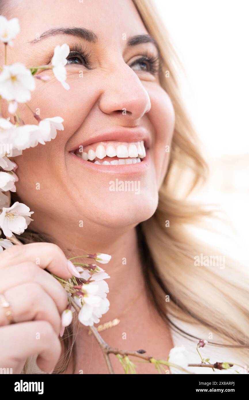 Fiori di Ciliegio in Washington DC Foto Stock