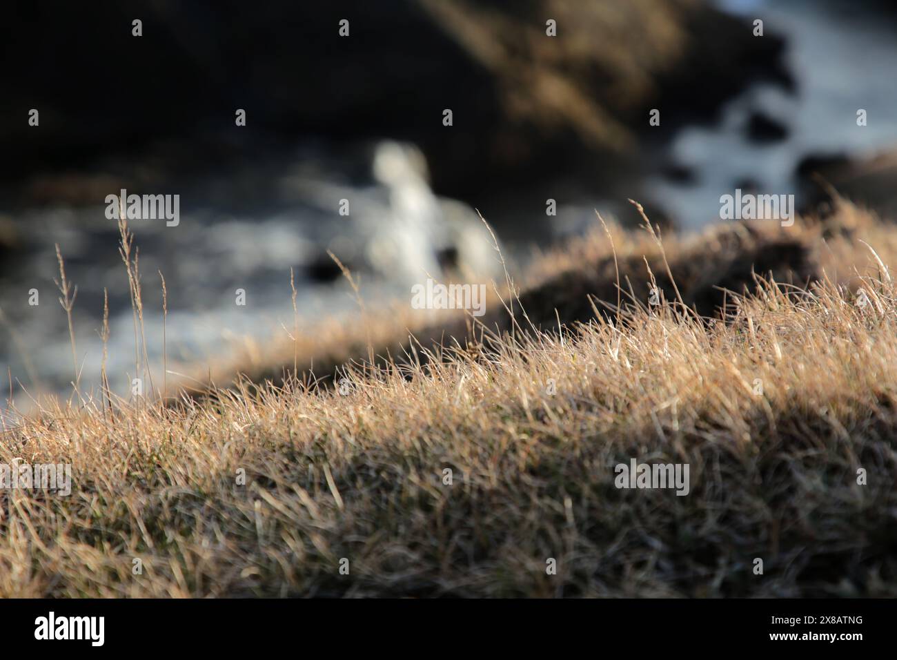 Islanda - 2024 05 01, immagine del paesaggio islandese, cascata Skogafoss, Foto Stock