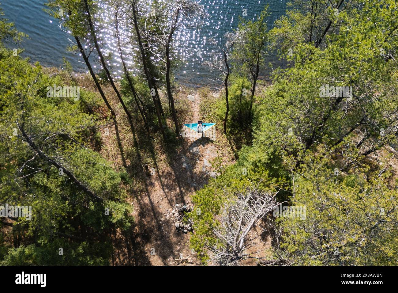 Donna che lavora da un'amaca luminosa vicino a un lago boscoso Foto Stock