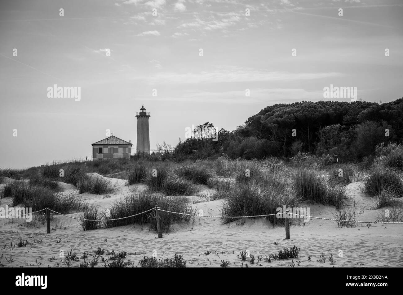 Tra la pianura e il mare. Il faro di Bibione, le dune e il suo ambiente naturale. Foto Stock