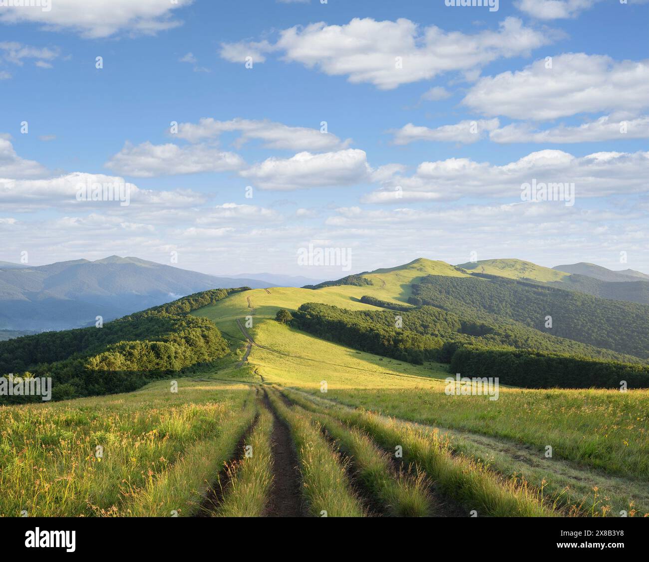 Paesaggio estivo con Green Hills e Dirt Road nelle montagne Foto Stock