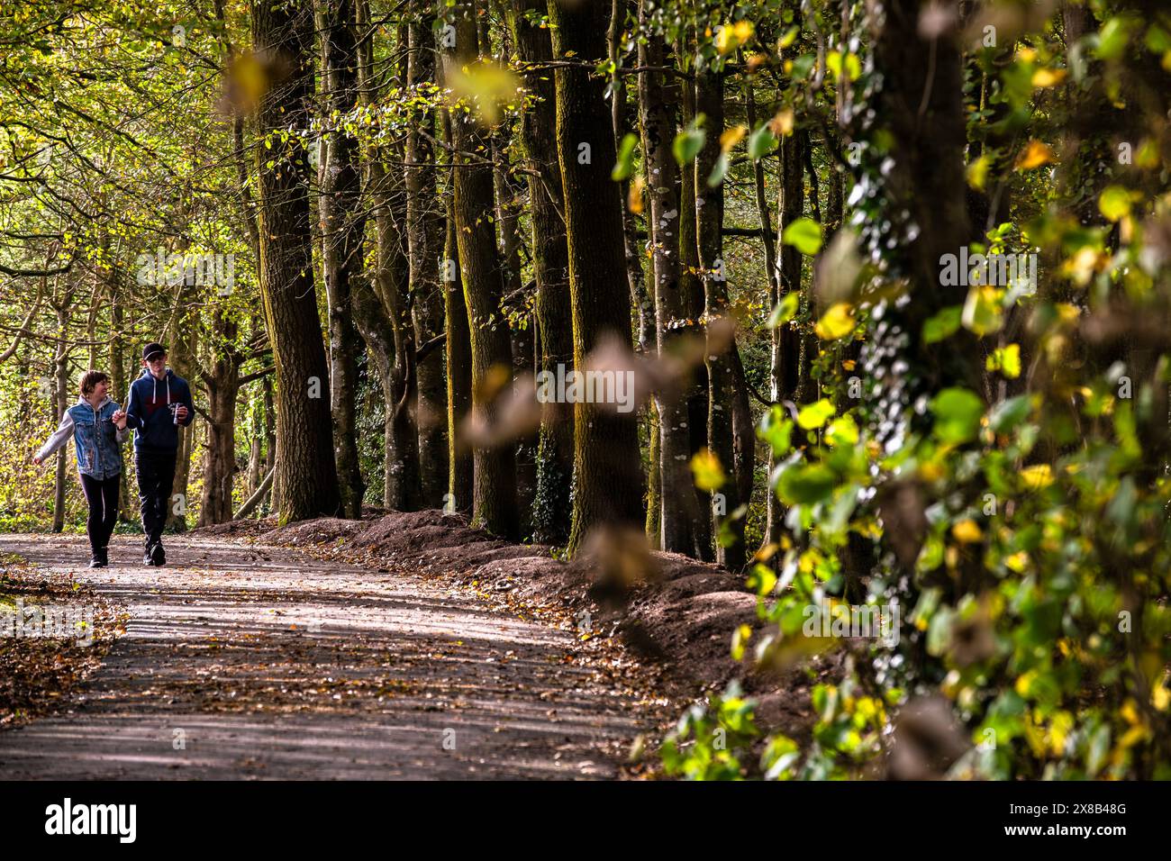 Una coppia che cammina lungo un sentiero nel Tehidy Woods Country Park in Cornovaglia nel Regno Unito. Foto Stock
