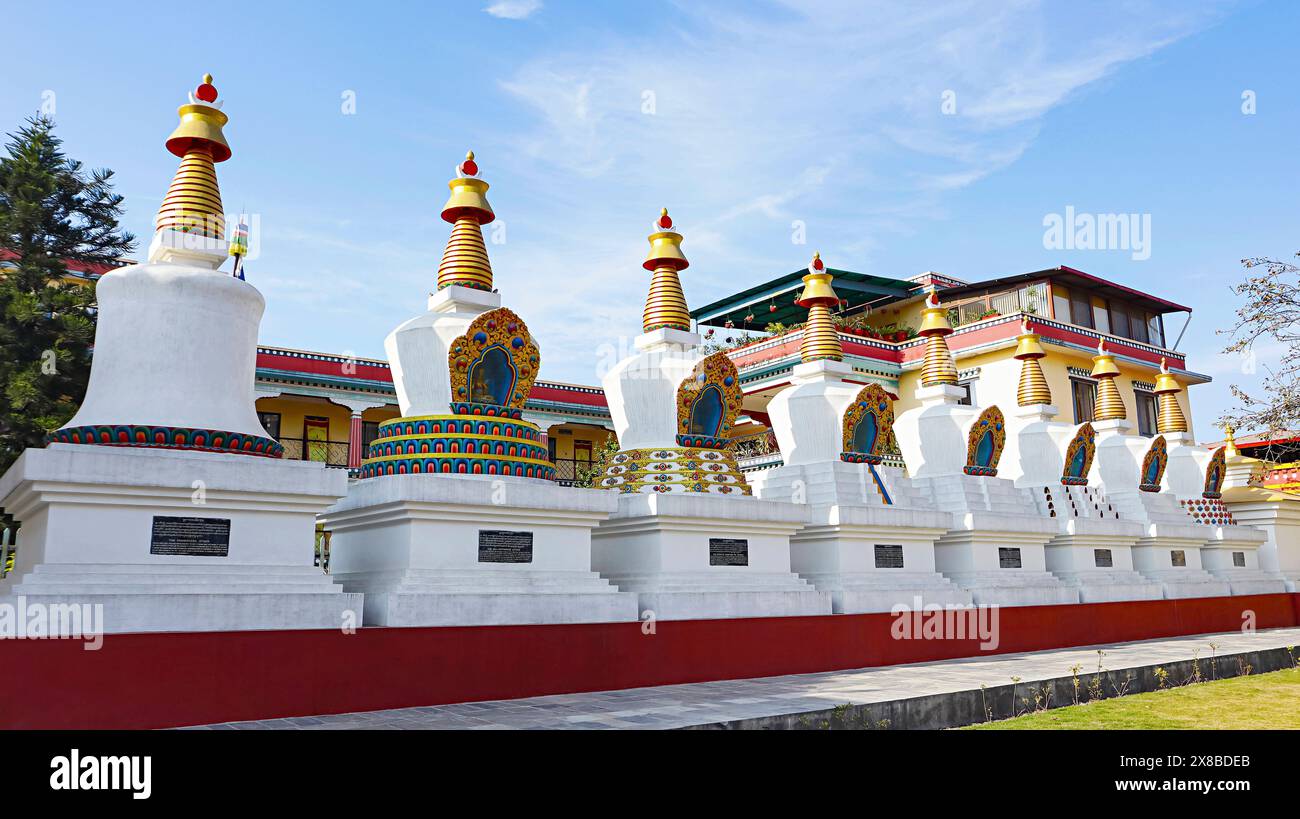 Stupas nel Campus del Monastero di Shechen, Kathmandu, Nepal. Foto Stock