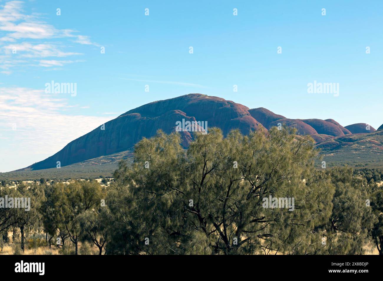 Una vista di parte del Kata Tjuṯa, un gruppo di grandi formazioni rocciose a cupola nel Parco Nazionale di Uluṟu-Kata Tjuṯa, territorio del Nord, Australia Foto Stock